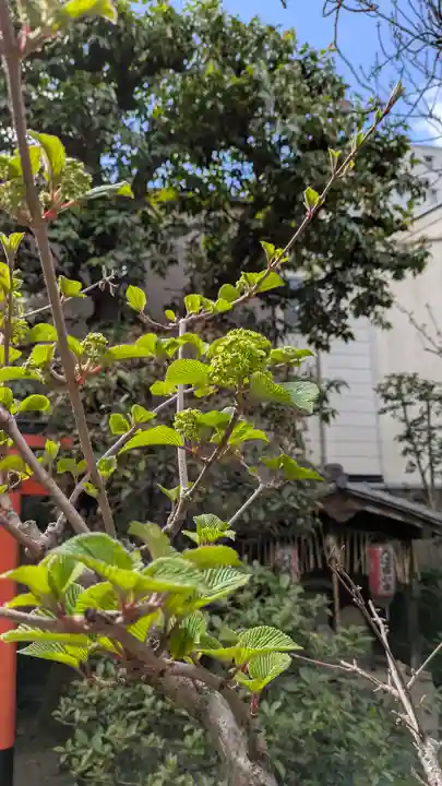 宝蔵寺(京都府)