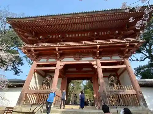 醍醐寺の山門