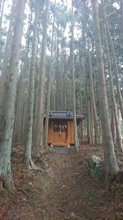 山神社の本殿