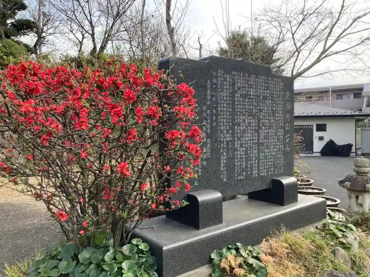 乗願寺(神奈川県)