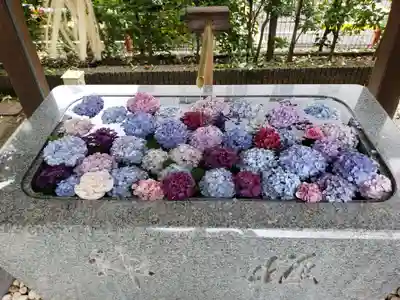 桜神宮(東京都)