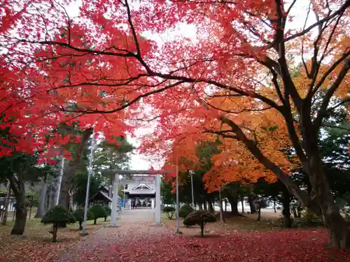上湧別神社の自然