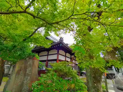 高牟神社(瀬古)の本殿・本堂