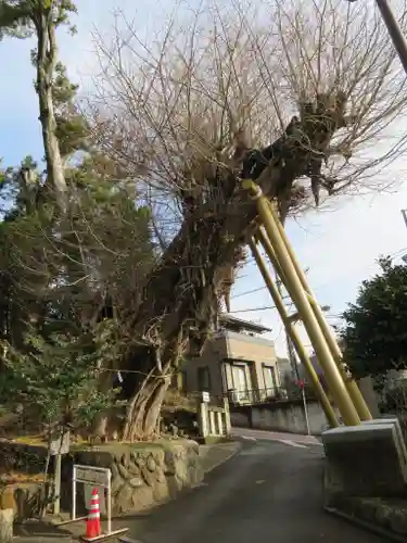 五所神社の周辺