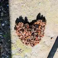 彌彦神社 (伊夜日子神社)(北海道)