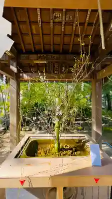 赤坂氷川神社の手水舎