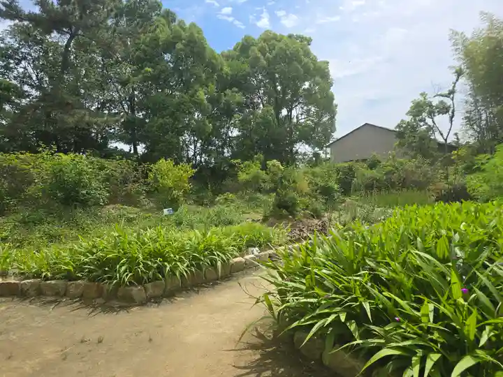 唐招提寺(奈良県)
