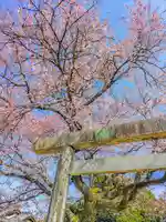 日吉社(加納)の鳥居