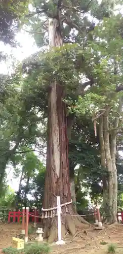 麻賀多神社奥宮(千葉県)