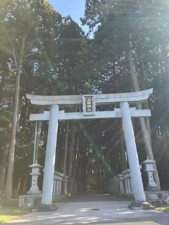 瀧樹神社(滋賀県)