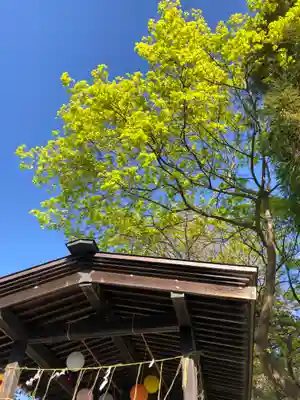 伊達神社のその他建物