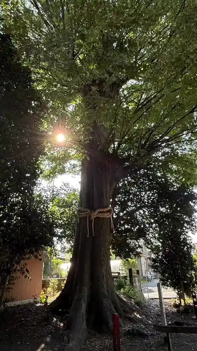 八坂神社(神奈川県)