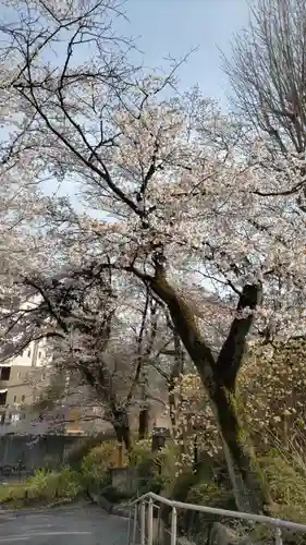 法華寺の山門