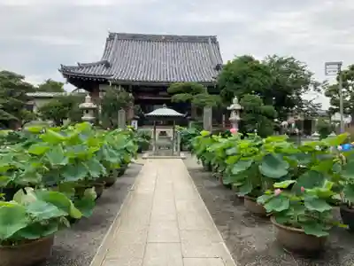 要法寺のその他建物