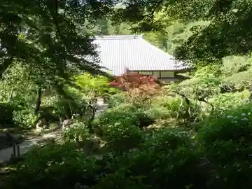 浄慶寺の本殿・本堂