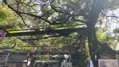 國領神社(東京都)