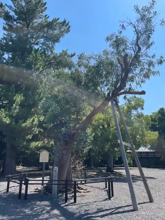 氣比神宮(福井県)