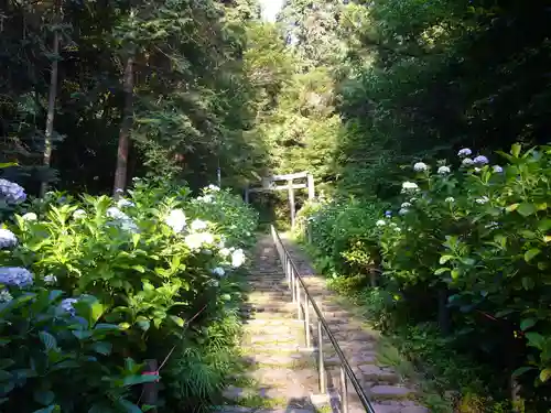 太平山神社の鳥居