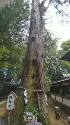 一言主神社(茨城県)
