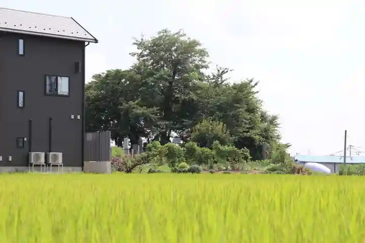 麓山神社の周辺