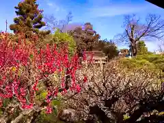 城南宮(京都府)