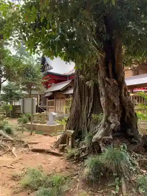 山倉大神(千葉県)