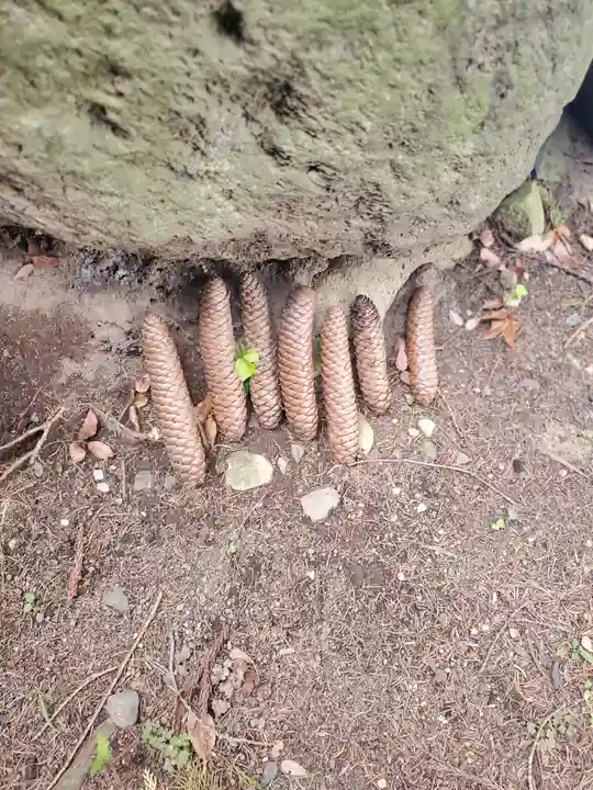 童女神社の自然