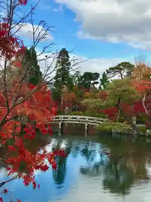 禅林寺(永観堂)(京都府)