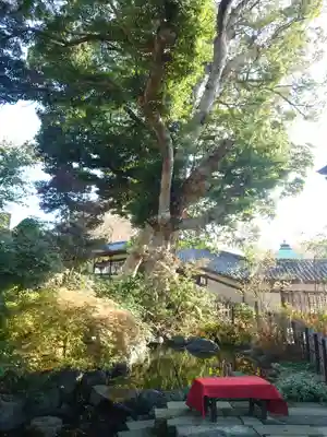 時宗総本山 遊行寺（正式：清浄光寺）(神奈川県)