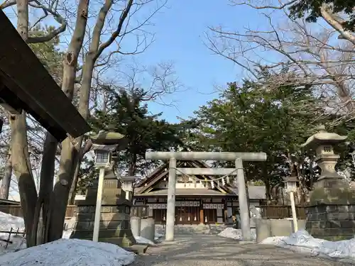 新琴似神社の鳥居