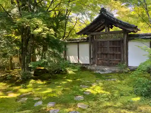 西芳寺(京都府)