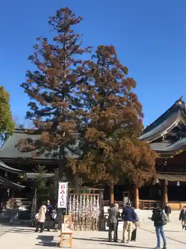寒川神社(神奈川県)