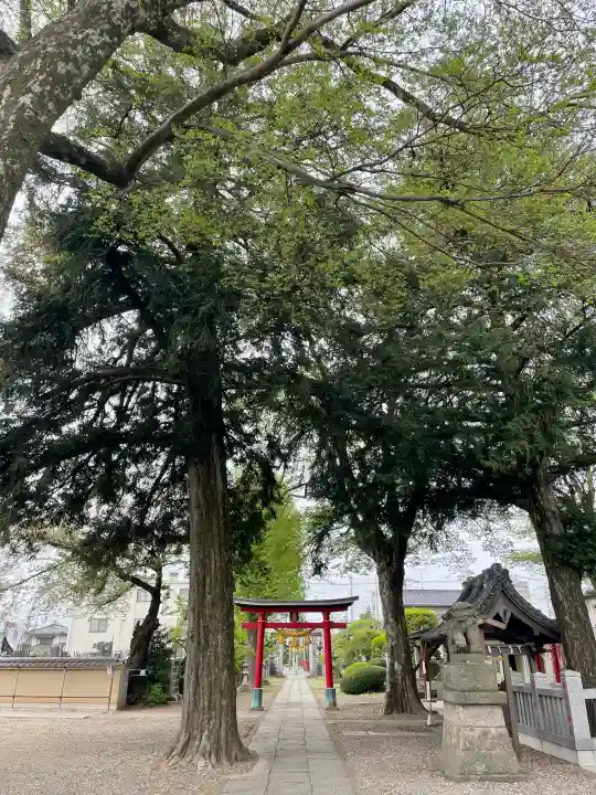 本宿天神社の{uncategorized: "未分類", other: "その他", undefined: "問題あり", building: "その他建物", grave: "お墓", sacred_gate: "鳥居", guardian: "狛犬", statue: "像", buddha: "仏像", history: "歴史", nature: "自然", garden: "庭園", animal: "動物", pagoda: "塔", temizu: "手水舎", mountain_gate: "山門・神門", sanctuary: "本殿・本堂", subordinate: "末社・摂社", art: "芸術", scenery: "景色", jizo: "地蔵", ema: "絵馬", goshuin: "御朱印", omikuji: "おみくじ", items: "授与品その他", amulet: "お守り", goshuincho: "御朱印帳", eats: "食事", festival: "お祭り", votive_dance: "神楽", shichigosan: "七五三参", wedding: "結婚式", experience: "体験その他", initially: "初詣", around: "周辺", anti_infection: "感染症対策"}