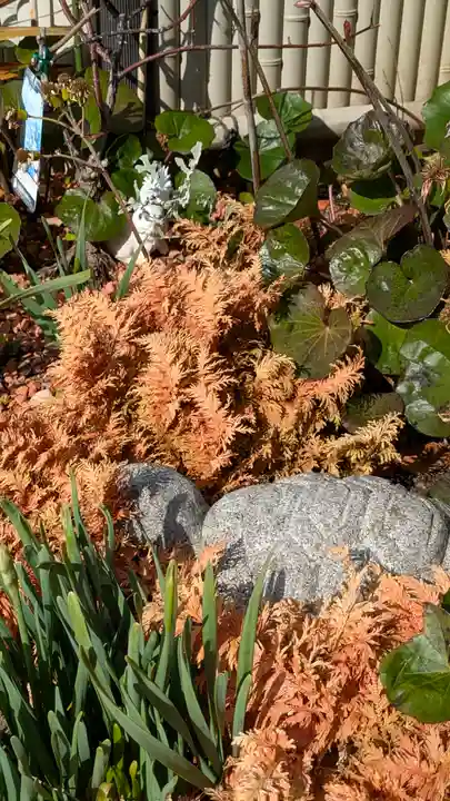 増福寺(大阪府)