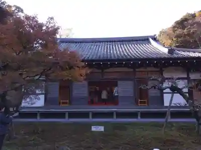 長壽寺(長寿寺)の本殿・本堂