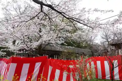 平野神社(京都府)