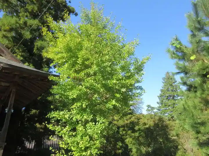 小鹿神社(埼玉県)