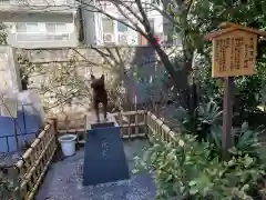 蔵前神社の狛犬