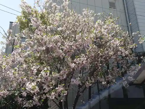 城岡神社(静岡県)