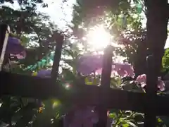 白山神社の建物その他