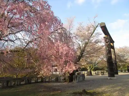 吉野神宮の自然