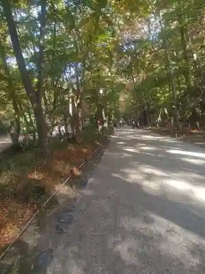 賀茂御祖神社（下鴨神社）(京都府)