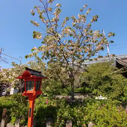 六孫王神社(京都府)