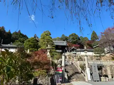 柳谷観音　楊谷寺(京都府)