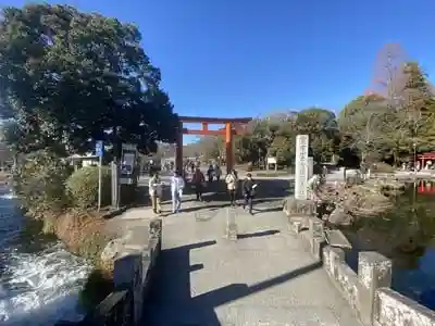 富士山本宮浅間神社の鳥居