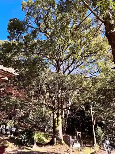 精矛神社(鹿児島県)