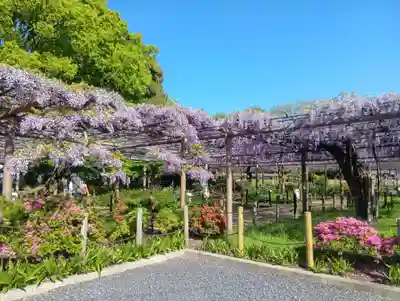 曼陀羅寺(愛知県)