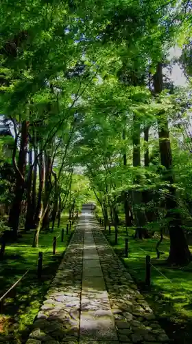 鹿王院のその他建物