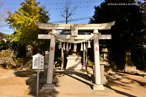 葛飾八幡宮の鳥居