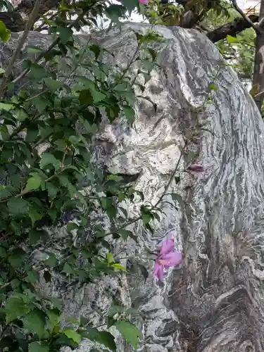 妙法寺(東京都)